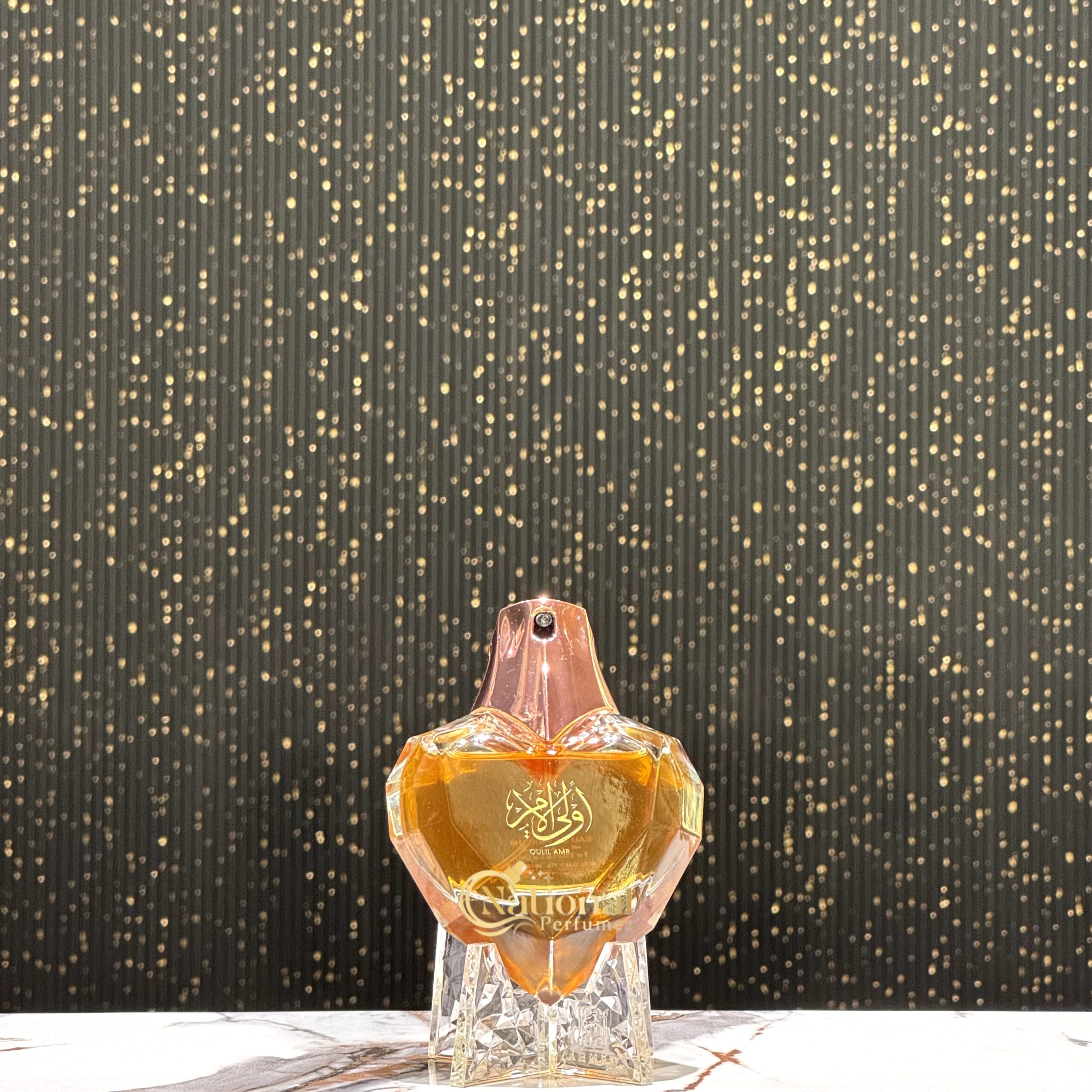 InShot_20241216_110221679