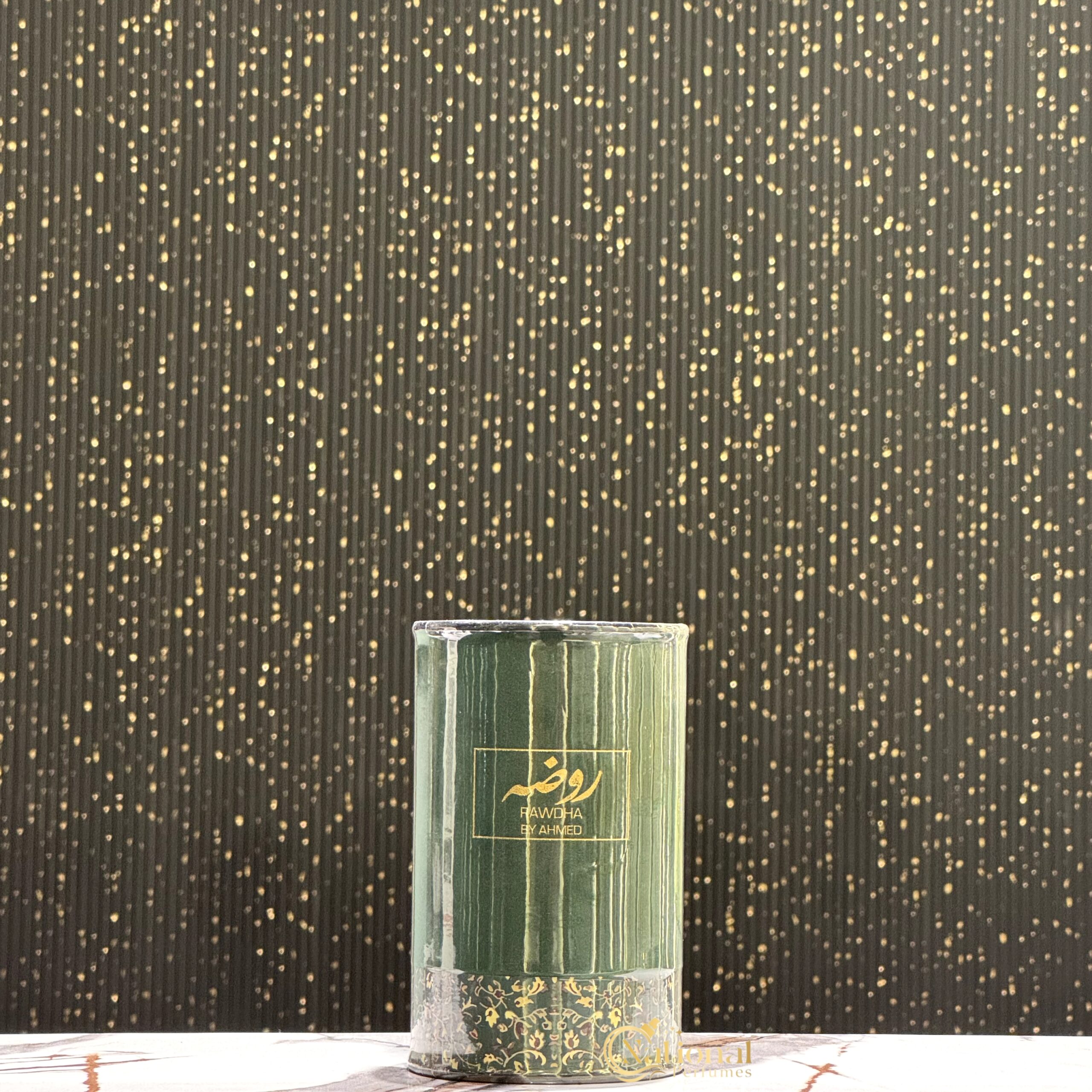 InShot_20241216_111951054